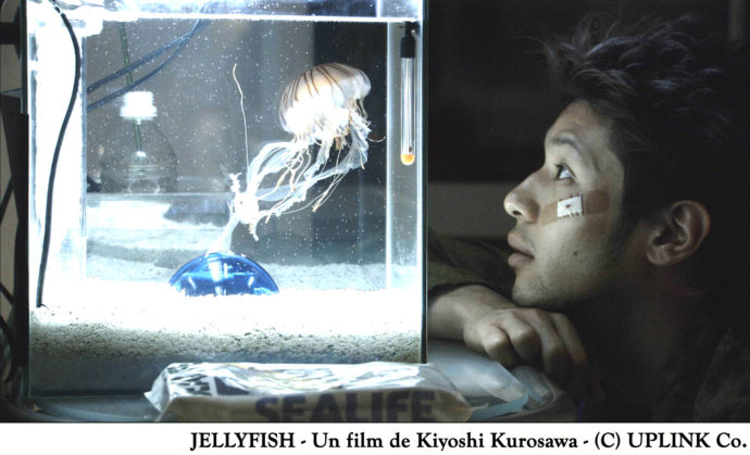 jellyfish_1