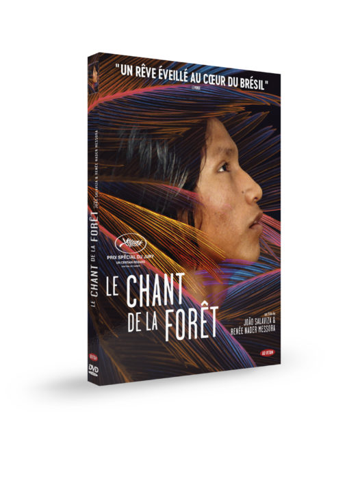 Le chant de la fôret